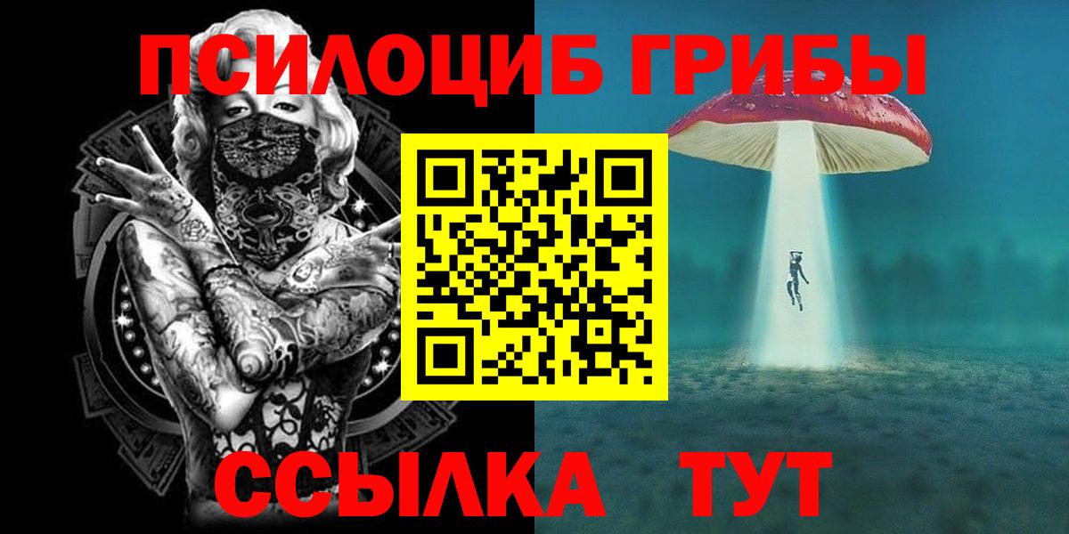 Галлюциногенные грибы Psilocybine cubensis Ржев